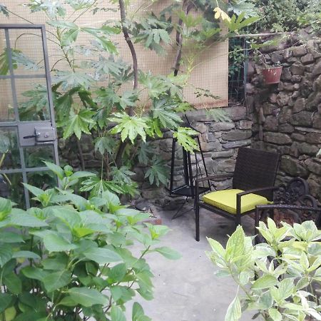 Le Ortensie 돌체도 외부 사진